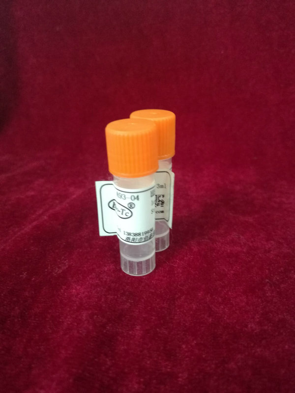 兔抗-人甲状腺素,IgG  