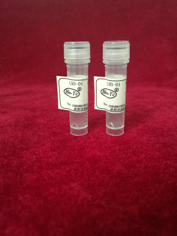 羊抗-人IV型胶原蛋白,IgG