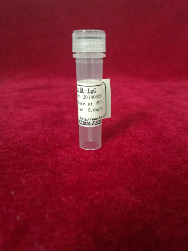 鼠抗-人甲状腺素