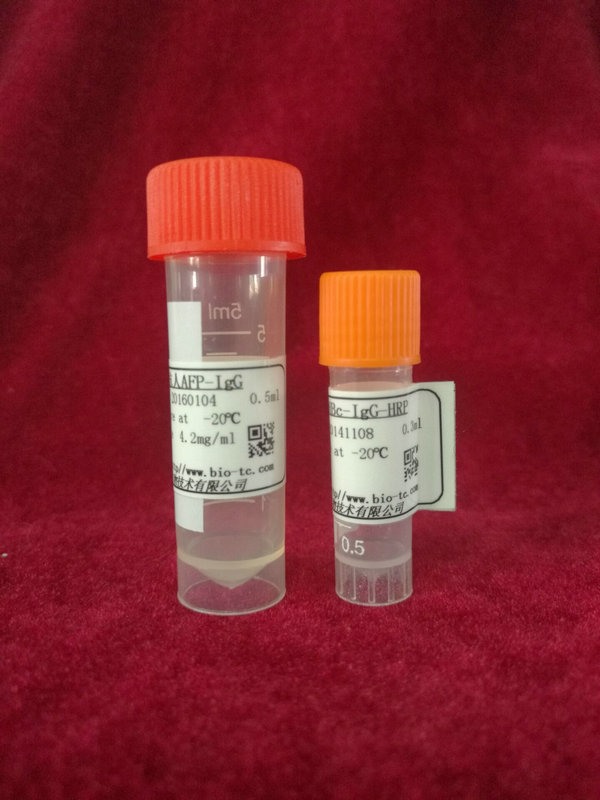 鼠抗-人α绒毛膜促性腺激素（用于ELISA、CLIA包被）