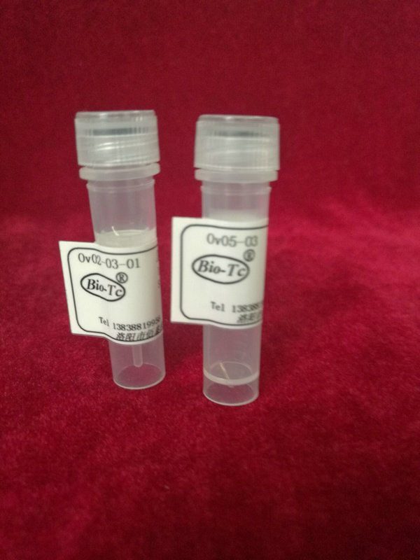 鼠抗-HBc,HRP标记