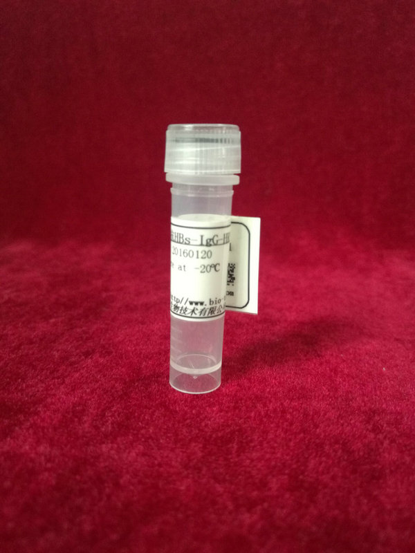 羊抗-鼠IgG,ALP标记