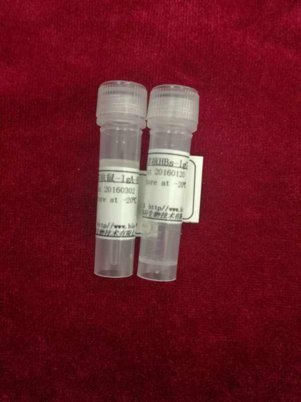 羊抗-人IgG(FC),ALP标记