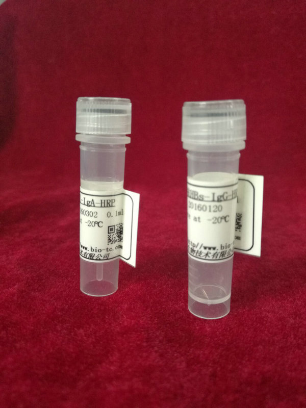 鼠抗-人甲状腺素，HRP标记