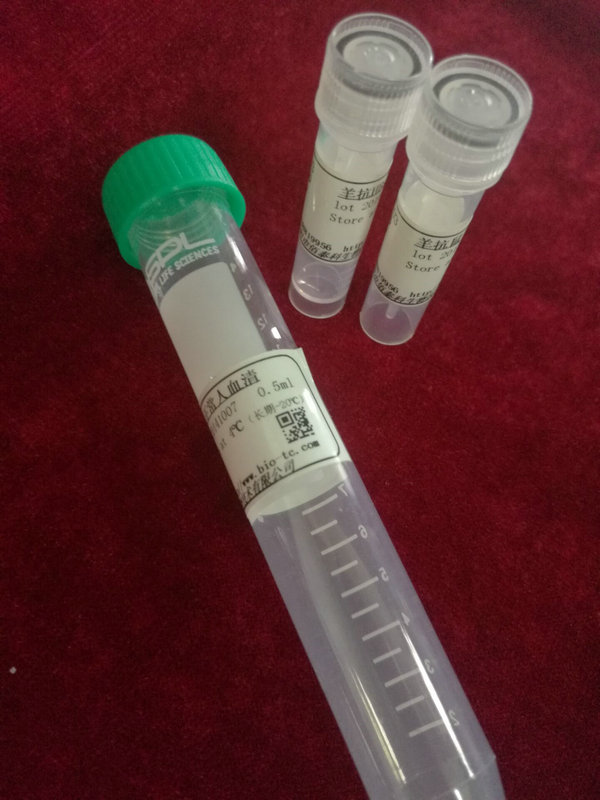 豚鼠抗-驴IgG,血清