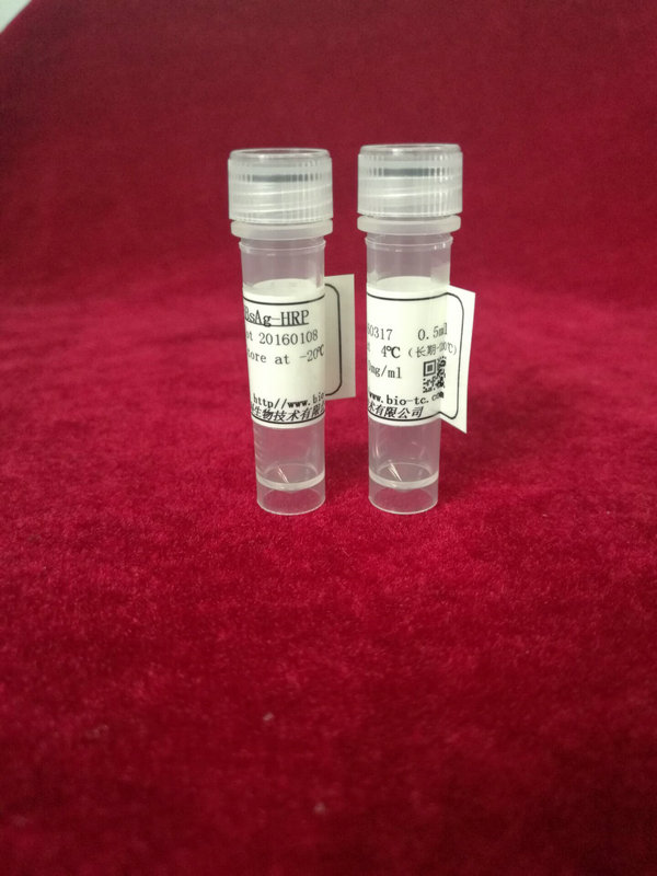 鼠抗-甲状腺球蛋白（用于ELISA、CLIA包被）