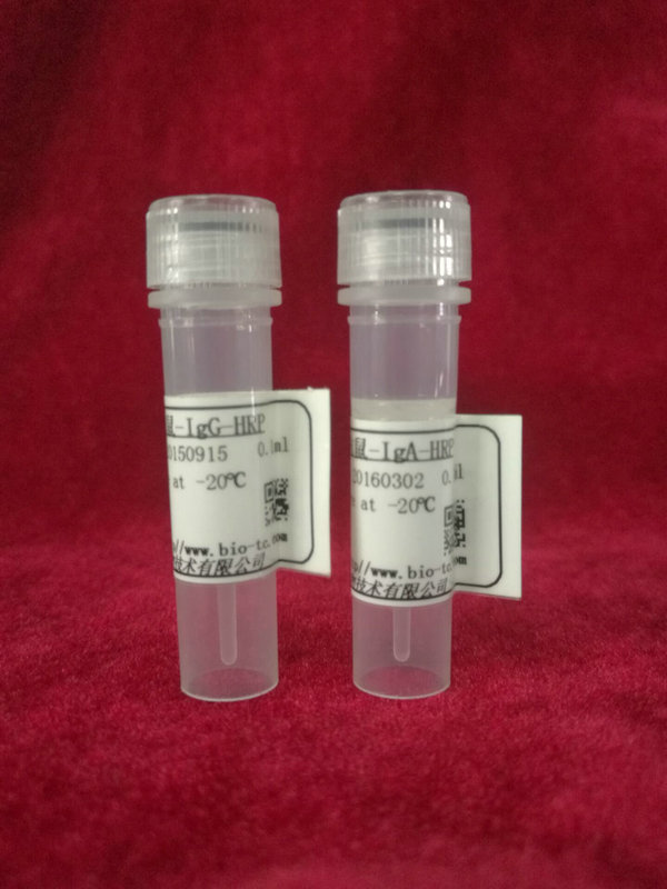 羊抗-鼠IgM,HRP标记(ELISA1:2000适用于小鼠Ig亚型分类）