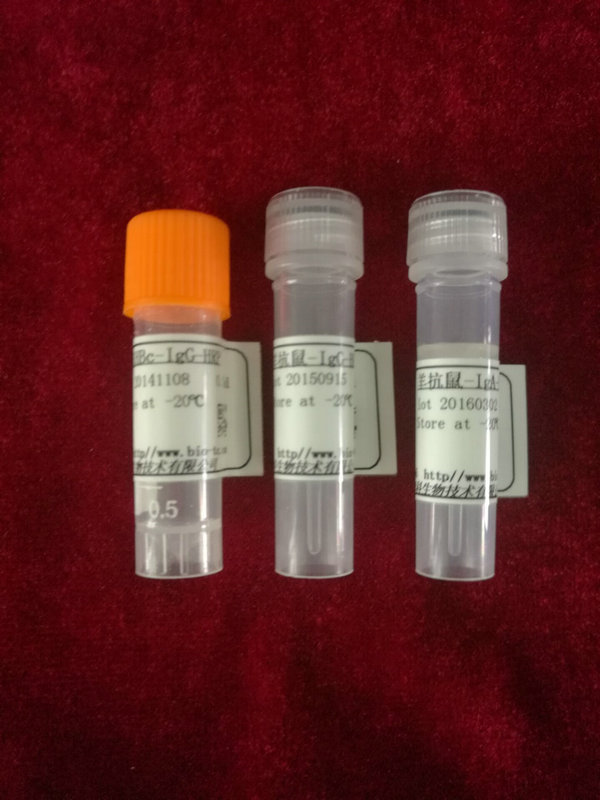 羊抗-鼠IgG3,HRP标记(ELISA1:2000适用于小鼠Ig亚型分类）