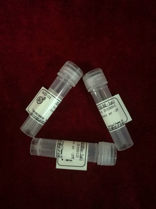 羊抗-人AFP,ALP标记