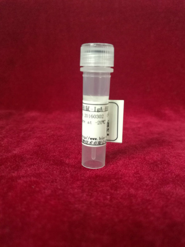 羊抗-人CA125,HRP标记